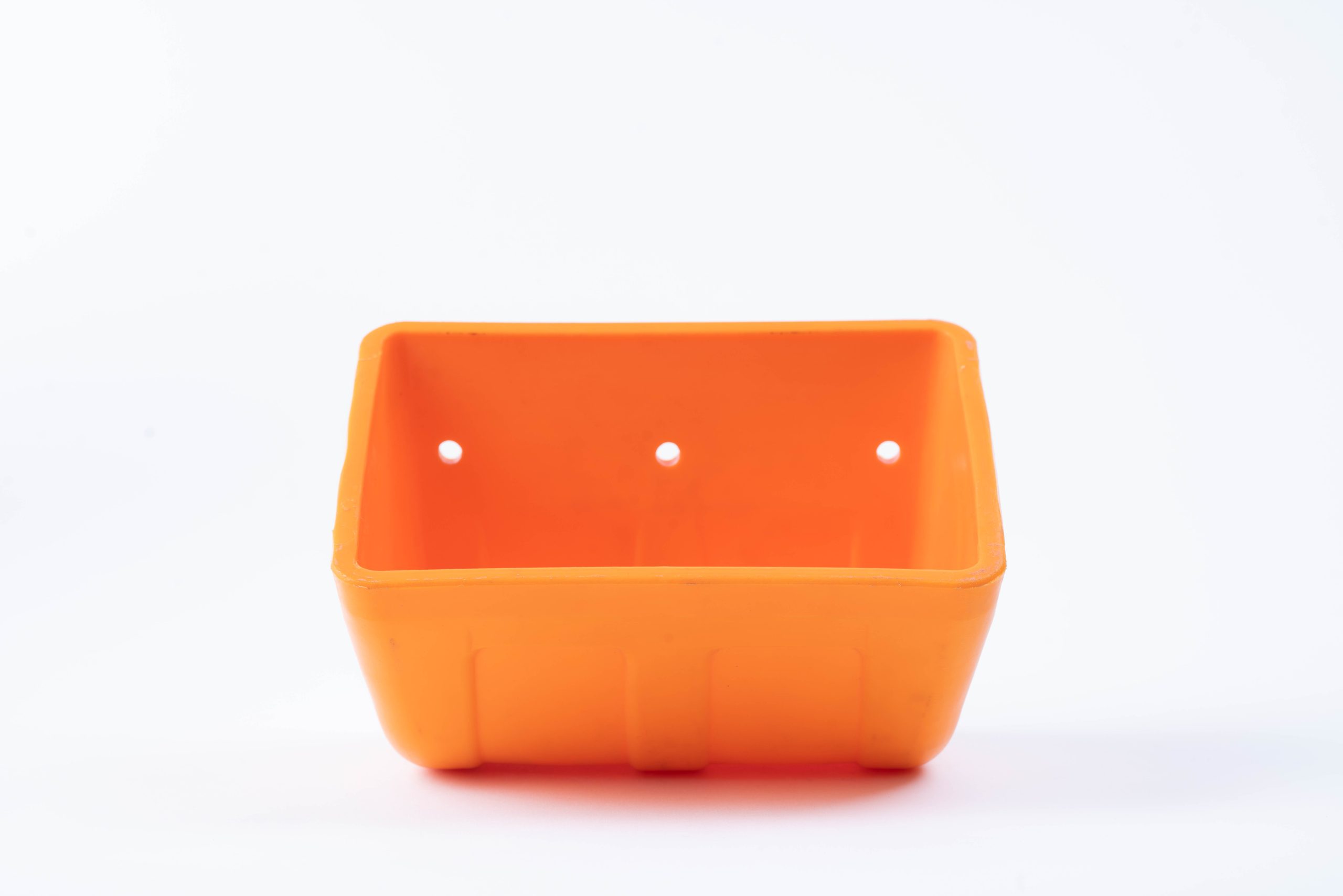 cangilon plastico d 2 scaled