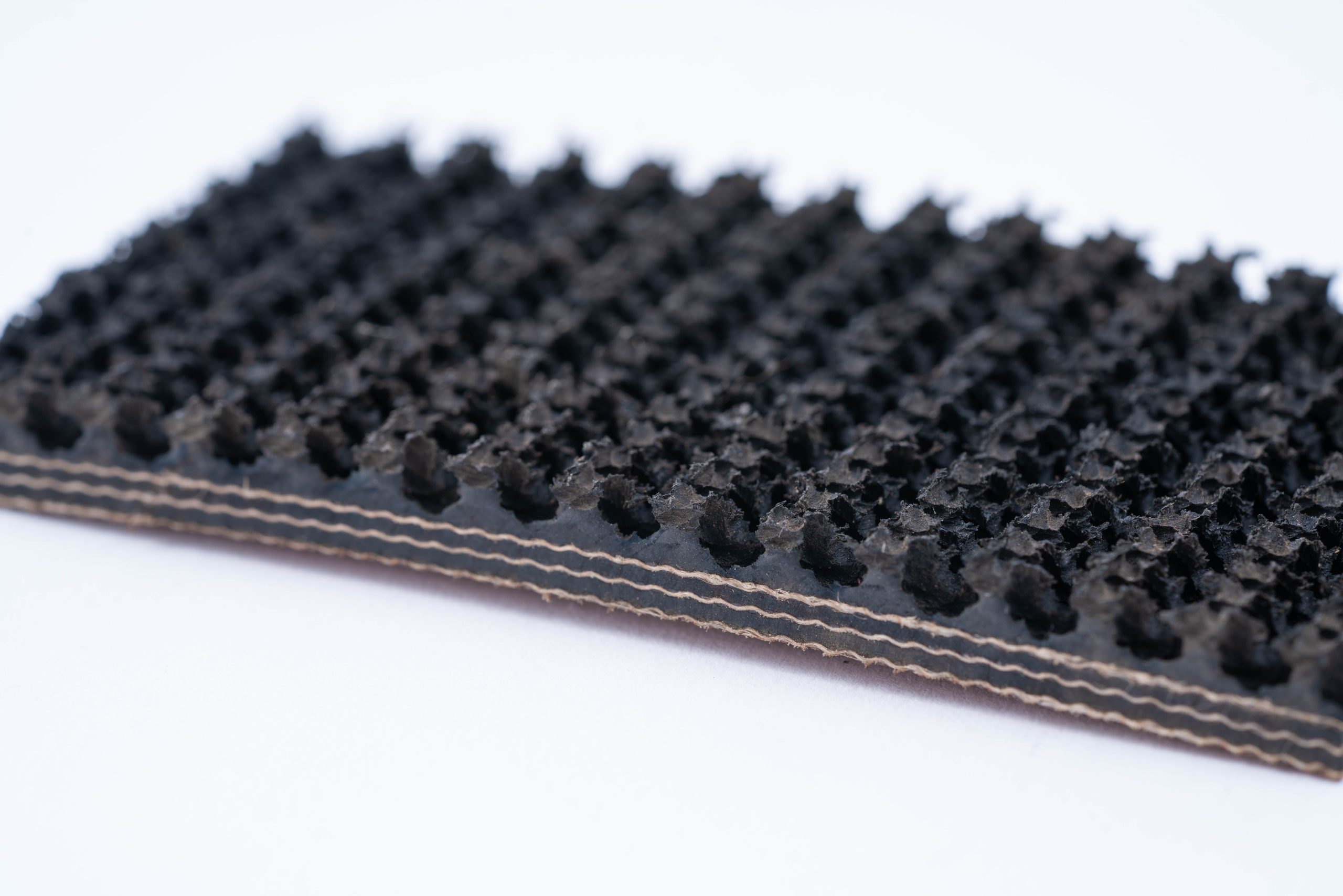 p 73 scaled